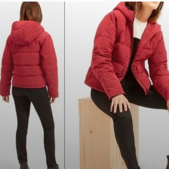Everlane Cropped Puffer in Red - Picture 5 of 5